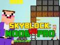 Lojë Noob vs problock në internet