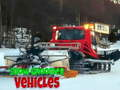 Lojë Automjetet Snow Groomer  në internet