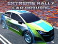 Lojë Driving Extreme Car Rally  në internet