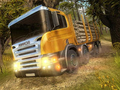 Lojë Simulator i kamionit malor  në internet