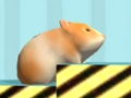 Lojë Hamster Për të konfirmuar  në internet