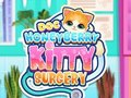 Lojë Doc Honeyberry Kitty Kitty në internet