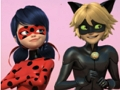 Lojë Jigsaw Puzzle Mollëkuqe e mrekullueshme dhe Cat Noir  në internet