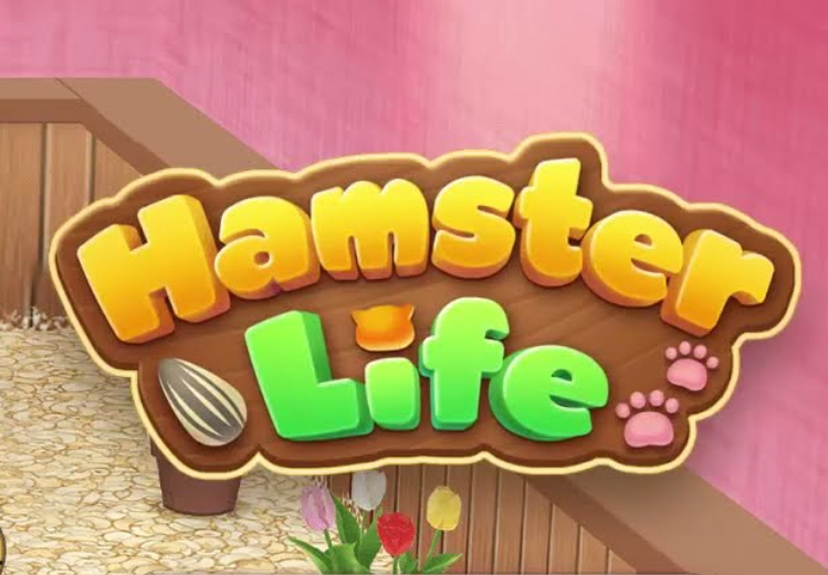 Lojë Puzzle Jeta e Hamsterit  në internet