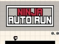 Lojë Ninja Auto Run në internet