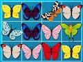 Lojë Mbreti i Mahjong  në internet