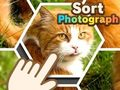Lojë Rendit fotografinë  në internet