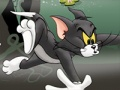 Lojë Tom dhe Jerry Chase në Marsh  në internet
