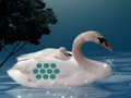 Lojë Save The Swan Nënë Child  në internet