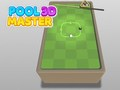 Lojë Pishina Master 3D në internet