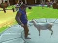 Lojë Simulator i Crazy Goat  në internet