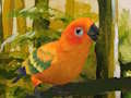 Lojë Puzzle Cute Budgie  në internet