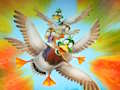Lojë Migrimi Flappy Duck  në internet