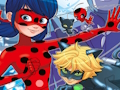 Lojë Ladybug Gjej dallimet  në internet