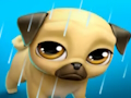 Lojë Kafsha ime Virtuale Louie the Pug  në internet
