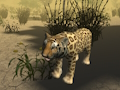 Lojë Simulator i Gjuetisë së Cheetah Afrikan  në internet
