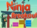 Lojë Ninja Breakout në internet
