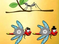 Lojë Gjeni Dragonfly Cooper  në internet