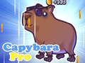 Lojë Capybara Pro në internet