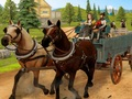 Lojë Simulator i kalërimit  në internet