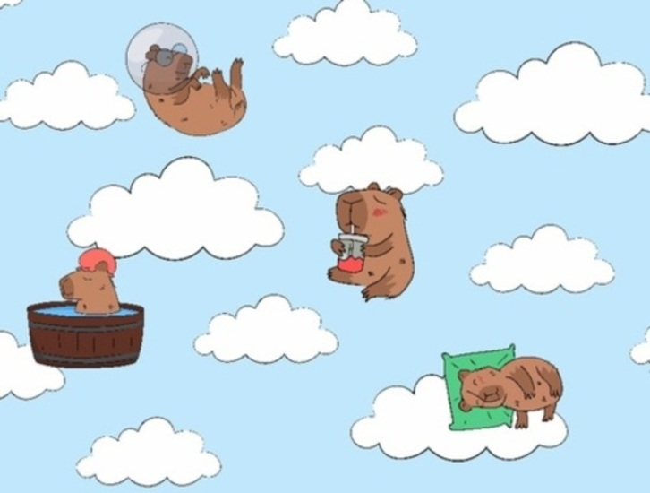 Lojë 100 Capybaras të fshehura  në internet