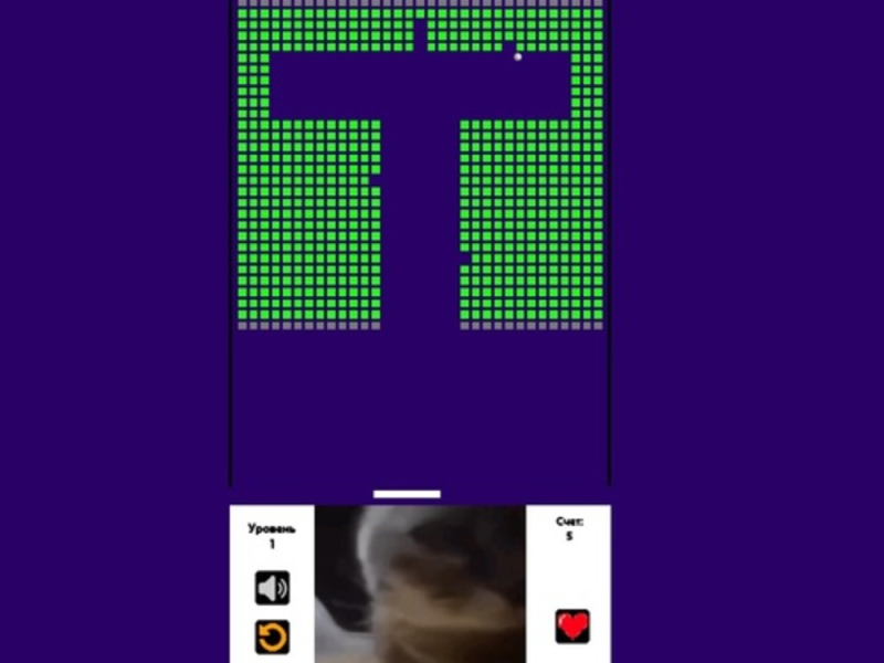 Lojë Breaker me tulla Chipi Chipi Chapa Chapa Cat në internet