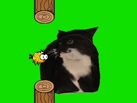 Lojë Zogu Flappy Spinning Oia Oia Cat  në internet