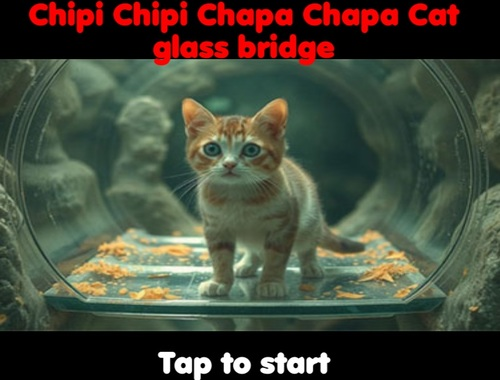 Lojë Chipi Chipi Chapa Chapa Chapa Cat Glass  në internet