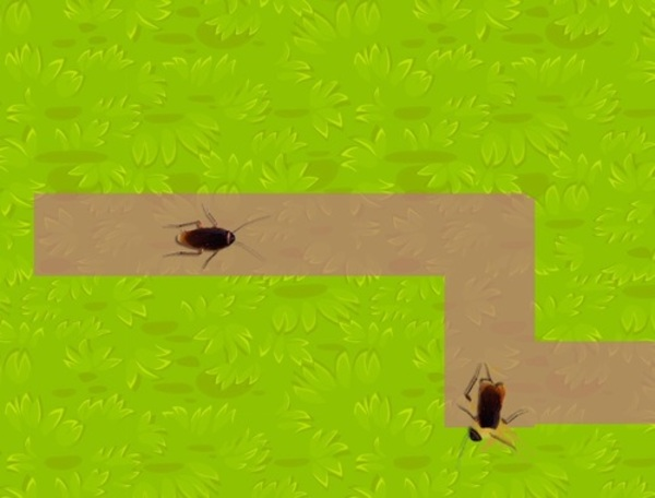 Lojë Predikues i insekteve  në internet