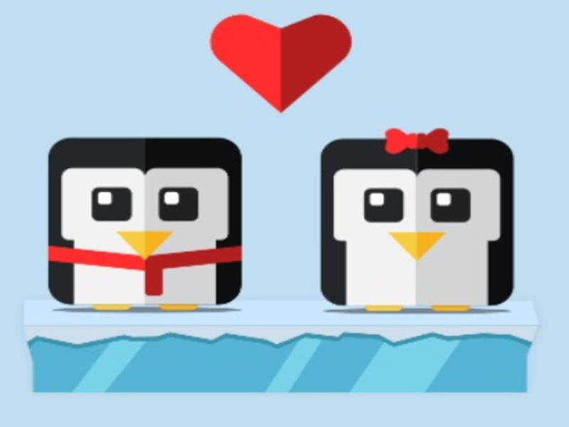 Lojë Ruani pinguinin në internet