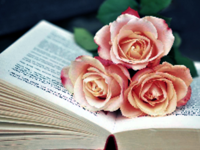 Lojë Libri i Blooms Jigsaw në internet