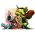 Strategjia Browser online